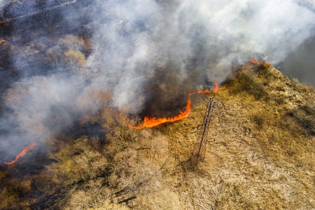 Home Insurance Coverage against Natural Disasters in Texas - Wildfires