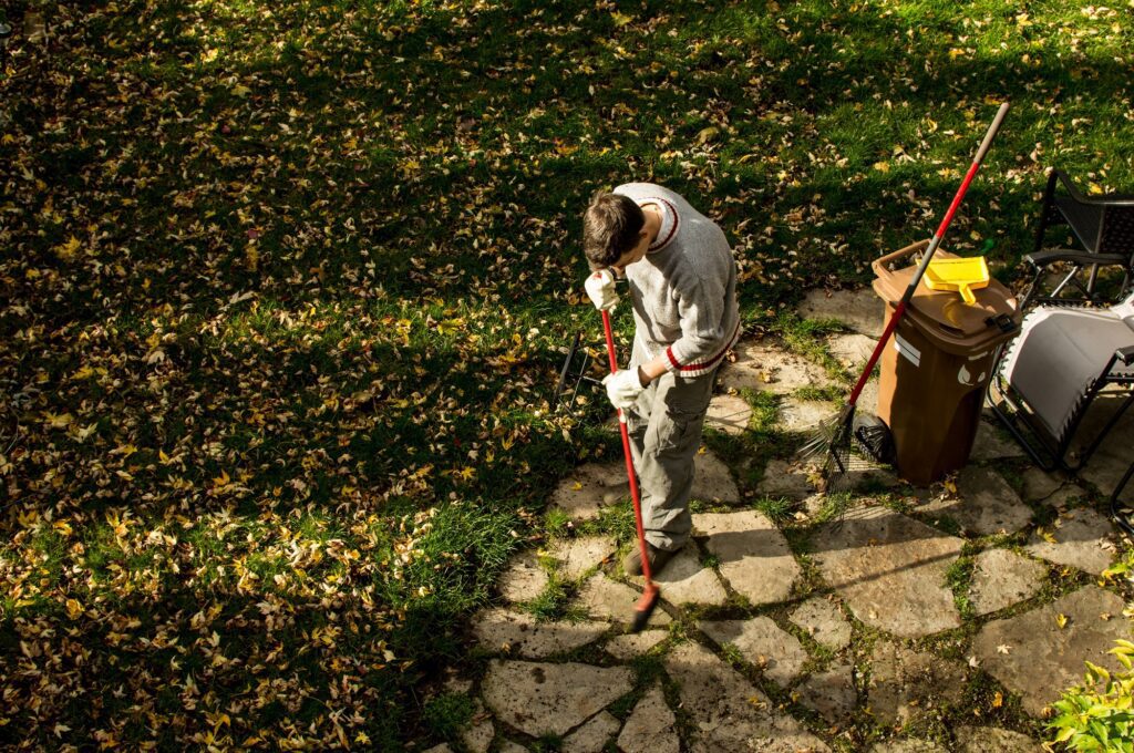 Preparing Your Lawn for Winter - Yard Cleanup