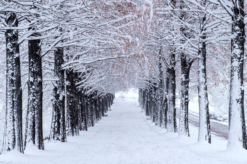 The Importance of Cleaning Gutters Before Winter - Winter is Here
