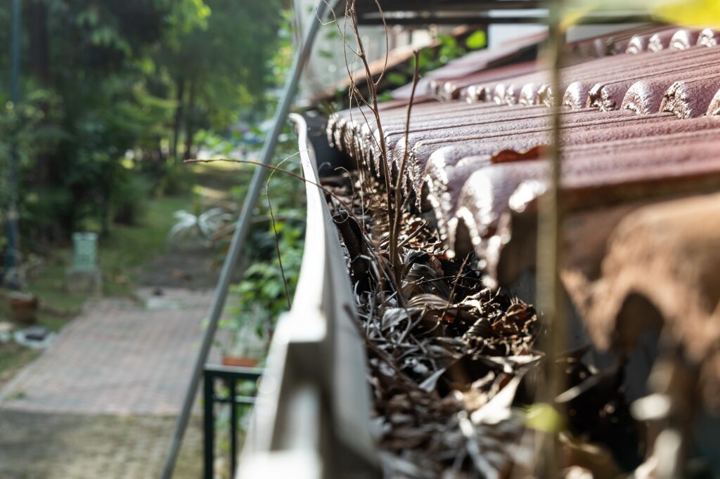 Post-Winter Home Inspection What to Look For - Signs Your Gutters Need Immediate Attention